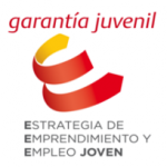 Subvenciones para la realización de acciones de formación profesional para el empleo